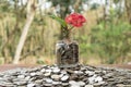 Tree growing from pile of stacked lots coins with blurred background, Money stack for business planning investment