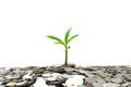 Tree growing from pile of stacked lots coins with blurred background, Money stack for business planning investment and saving