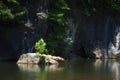 Tree growing on a rock in New River, Damascus, Virginia Royalty Free Stock Photo