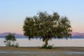 Logaras beach on coast of Paros island, Greece Royalty Free Stock Photo