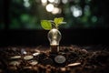 Tree growing on soil and environmentally friendly ambient