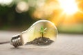 The tree growing on the soil in a lightbulb. Creative ideas of earth day or save energy and environment concept Royalty Free Stock Photo