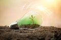 The tree growing on the soil in a light bulb. Creative ideas of earth day or save energy and environment concept. Protection of Royalty Free Stock Photo