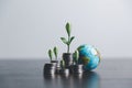 Tree growing on stack coin. financial accounting concepts and save money. business economy idea, selective focus. Financial and Royalty Free Stock Photo