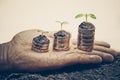 Tree growing on stack of coins Royalty Free Stock Photo