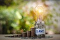 Tree growing on stacks of coins and Energy saving light bulb on a jar with sun light bokeh background. Saving money concept. Royalty Free Stock Photo