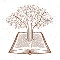 Tree growing from text lines of an open vintage book education or science knowledge concept, educational or scientific literature Royalty Free Stock Photo