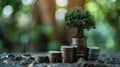 Tree growing up on coins, concept of business finance and saving money investment and Growing Money Royalty Free Stock Photo