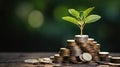 Tree growing up on coins, concept of business finance and saving money investment and Growing Money Royalty Free Stock Photo