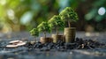 Tree growing up on coins, concept of business finance and saving money investment and Growing Money Royalty Free Stock Photo