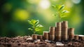Tree growing up on coins, concept of business finance and saving money investment and Growing Money Royalty Free Stock Photo