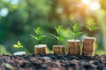 Tree growing up on coins, concept of business finance and saving money investment and Growing Money Royalty Free Stock Photo