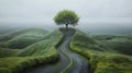 A tree is growing on a winding road in the middle of nowhere, AI Royalty Free Stock Photo