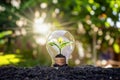 Tree grows in light bulbs, energy-saving and environmental concepts.