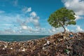 Tree grows between Mountains of Trash. In unreal surreal environment garbage nature pollution ecology. Environment concept