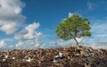 Tree grows between Mountains of Trash. In unreal surreal environment garbage nature pollution ecology. Environment concept
