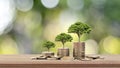 The tree grows on a stack of money on a wooden table and natural background.