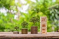 The tree grows on a stack of money on a wooden table and natural background Royalty Free Stock Photo