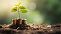 The tree grows on stacked coins on the soil with blur nature background. Generative AI Royalty Free Stock Photo