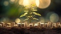 The tree grows on stacked coins on the soil with blur nature background. Generative AI Royalty Free Stock Photo