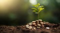 The tree grows on stacked coins on the soil with blur nature background.investment concept. Generative AI Royalty Free Stock Photo