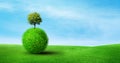 Tree growth on green grass sphere shape in blue background.