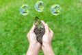 Tree growth in hand man with butterlfy and green world