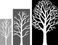 Tree Growth Stages/eps