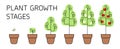 Tree growth stages infographics. Line art icons. Planting instruction template. Linear style illustration isolated on Royalty Free Stock Photo