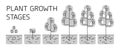 Tree growth stages infographics. Line art icons. Planting instruction template. Linear style illustration isolated on Royalty Free Stock Photo