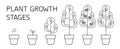 Tree growth stages infographics. Line art icons. Planting instruction template. Linear style illustration isolated on Royalty Free Stock Photo