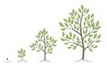 Tree growth stages set. Plant development phases. Animation progression. Vector sketch infographic. The life cycle.