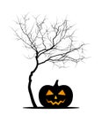 Tree and halloween pumpkin