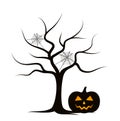 Tree and halloween pumpkin