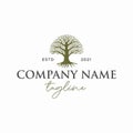 Tree logo design. Landscape logo with hand drawn tree vector.