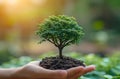 Tree hands nurturing seedlings into growth