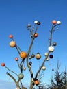 Tree with hanging buoy Royalty Free Stock Photo