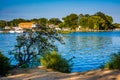 Tree hanging over the Back River at Cox Point Park in Essex, Mar Royalty Free Stock Photo