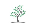 Tree Healthy Life Logo template icon