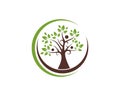 Tree Healthy Life Logo template vector icon