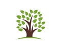 Tree Healthy Life Logo template vector icon