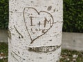 Tree with heart engraved with letters Royalty Free Stock Photo