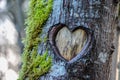 Tree Heart Royalty Free Stock Photo