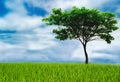 Tree helps reduce the global warming, love the world love trees, earth Day concept please join us for the future.