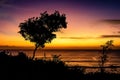 Tree on a hill against the sunset. Silhouette of a tree with the ocean and sunset as background. Bali Royalty Free Stock Photo