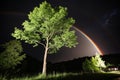 Tree of hope illuminated by light and rainbow in darkness Royalty Free Stock Photo