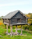 Tree house Royalty Free Stock Photo