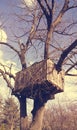 Tree house