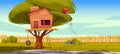 Tree house on backyard lawn with fence background Royalty Free Stock Photo