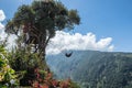 Tree House In Banos De Aqua Santa, Ecuador